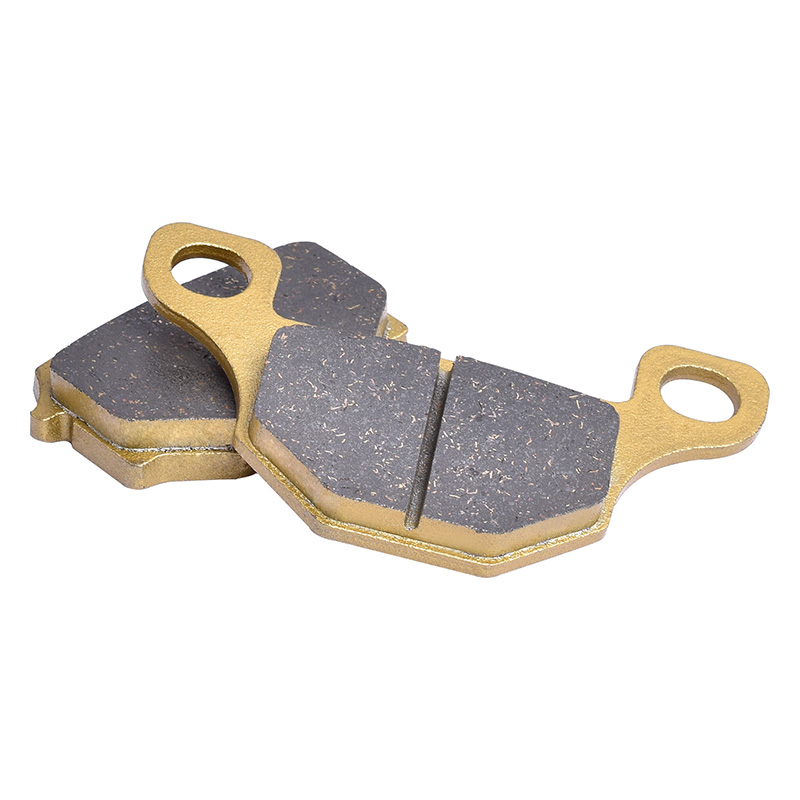 Vordere und Hintere Bremsbeläg – Brake Pads Bike Bewertung und Preis