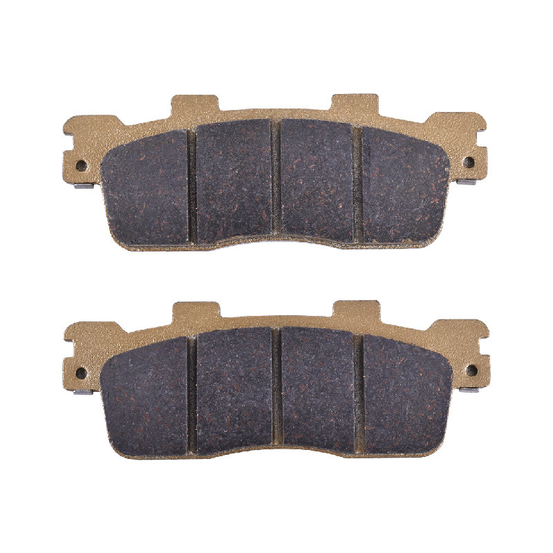 Motorrad hintere Bremsbeläge f – Brake Pads Bike Bewertung und Preis